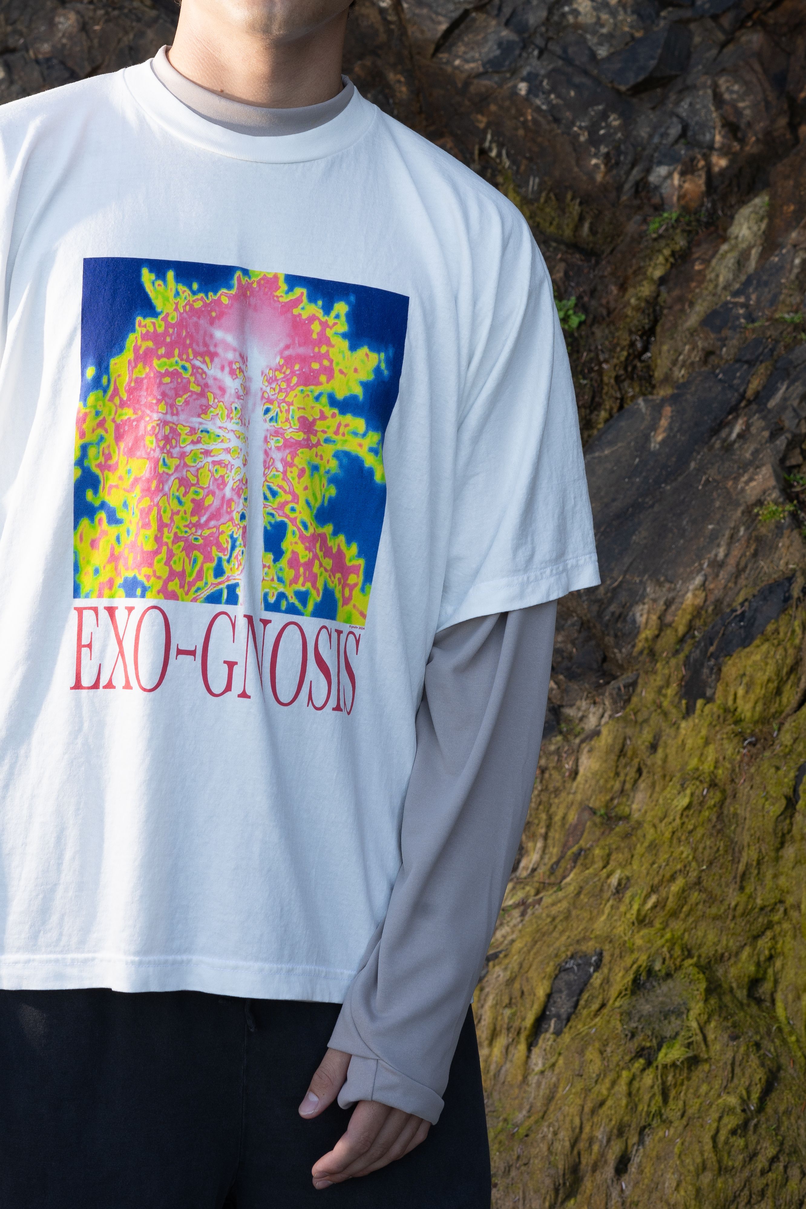 29a3076eb33fc6513137123714972b