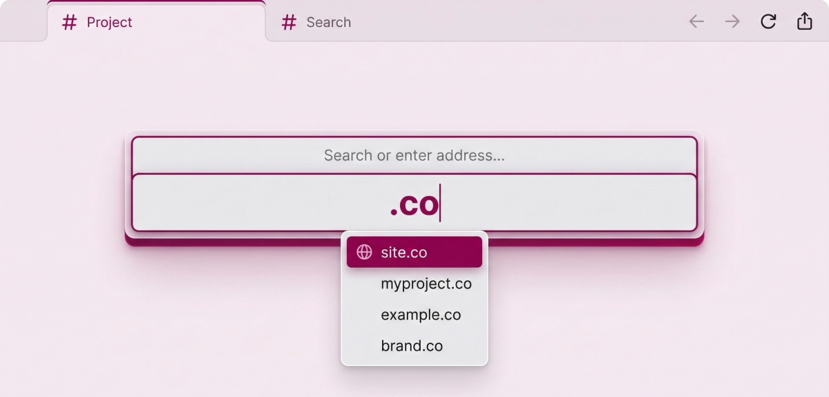 The .co domain extension explained: Data, SEO reality and a competitive look