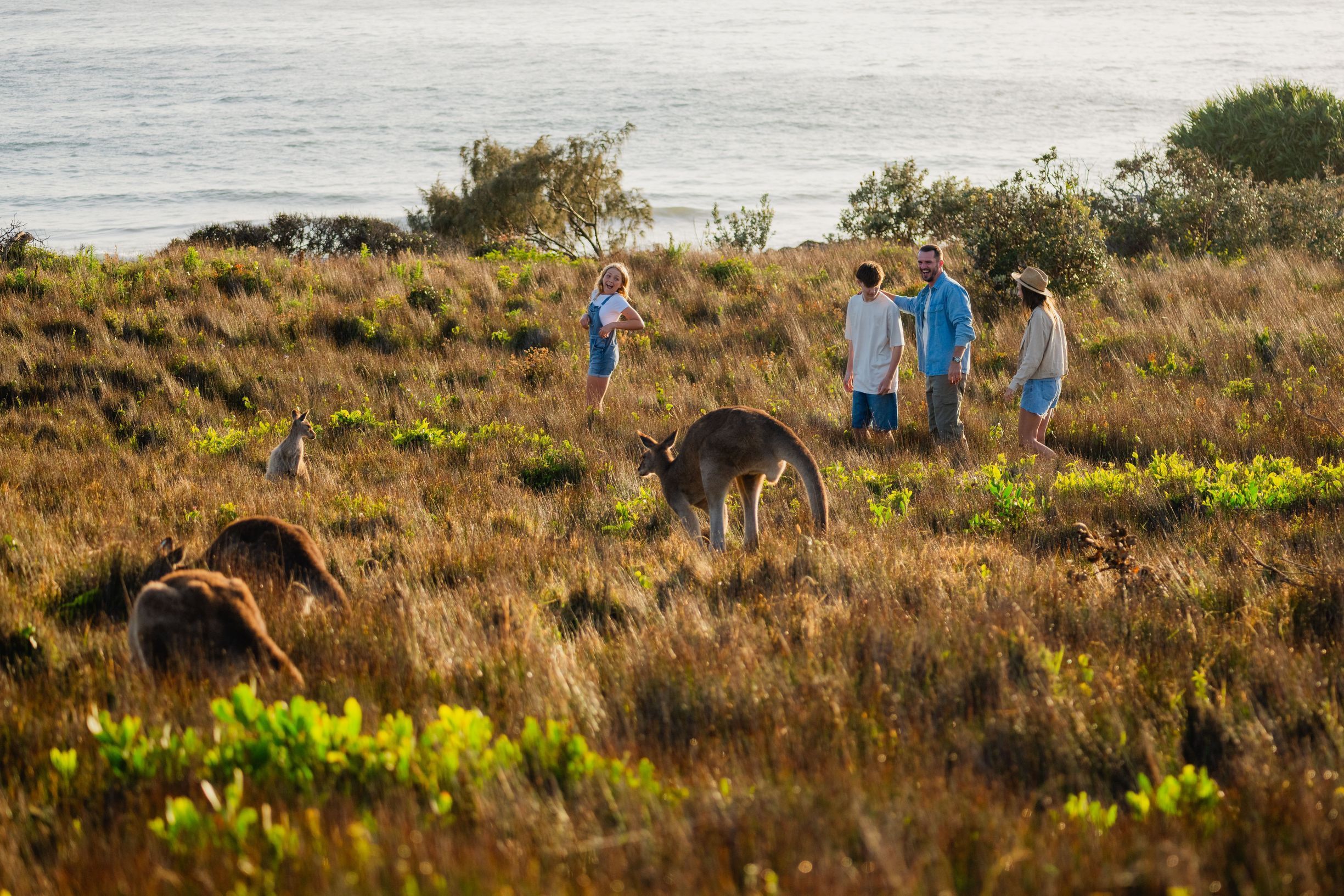 Family spots kangaroos on the Look At Me Now Headland Walk