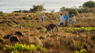 Family spots kangaroos on the Look At Me Now Headland Walk