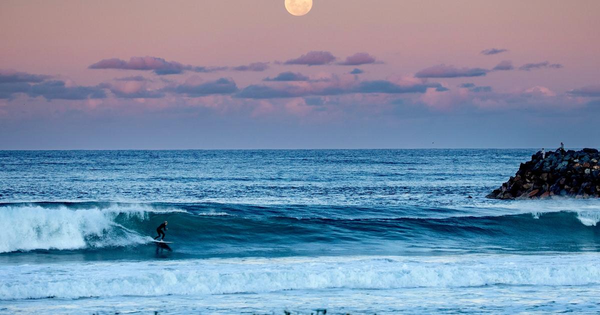 North Coast | Destination NSW