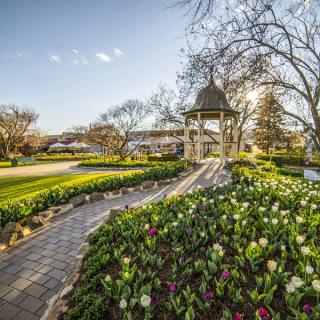 Bowral during Tulip Festival