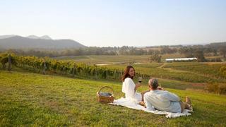Couple enjoying a picnic at Audrey Wilkinson vineyard