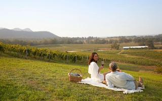 Couple enjoying a picnic at Audrey Wilkinson vineyard