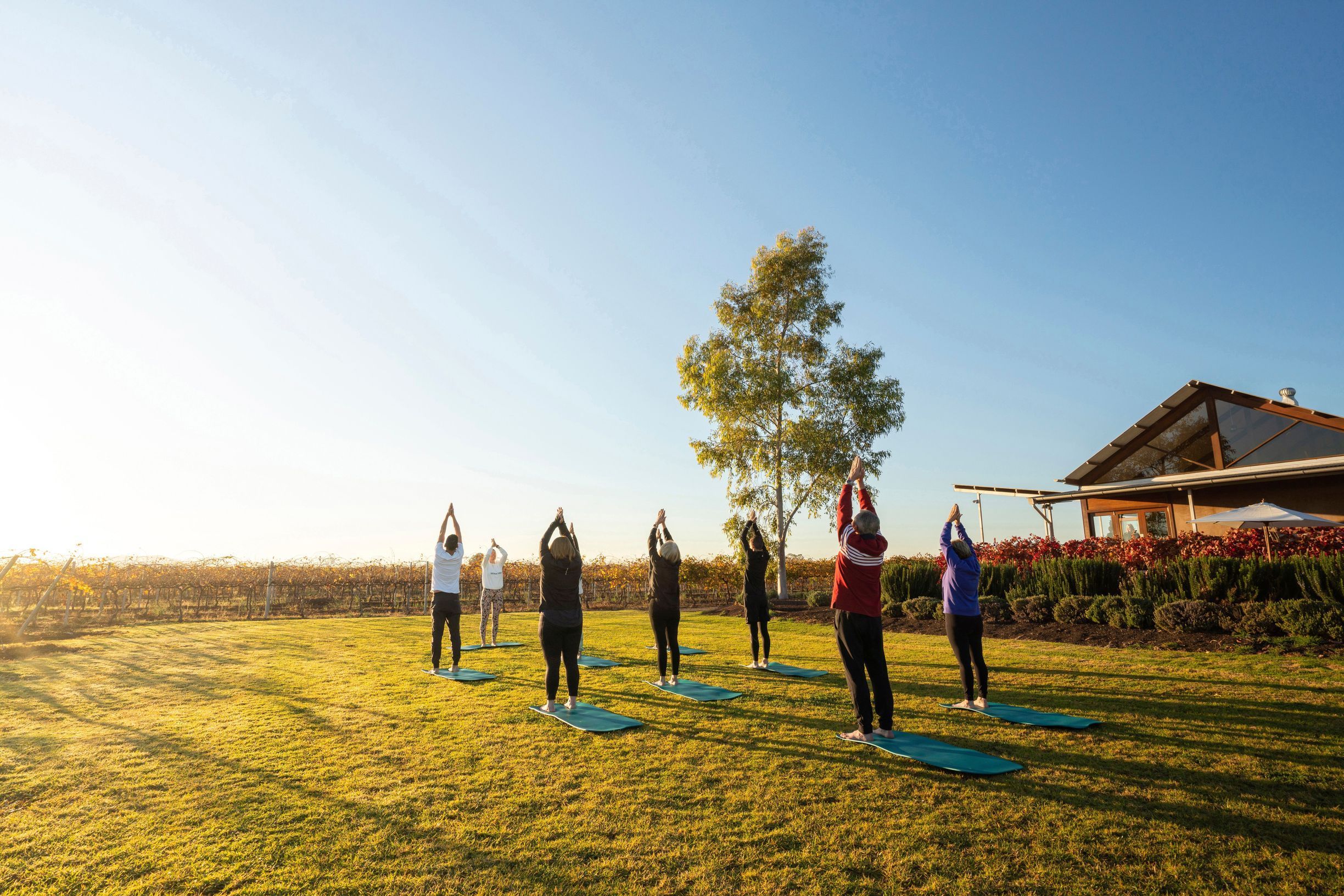 Group wellness activity at Yarran Wines