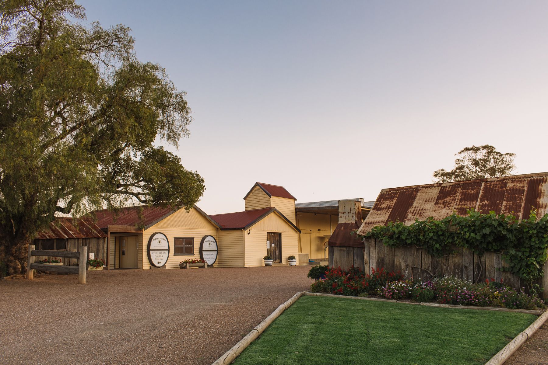 Tyrrell's winery cellar door