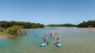 Group of visitors paddle boarding in Coffs Harbour