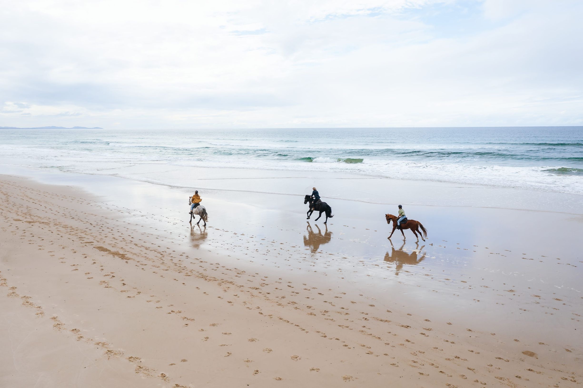 Aerial shot of horses running on beach in Byron Bay