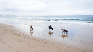 Aerial shot of horses running on beach in Byron Bay