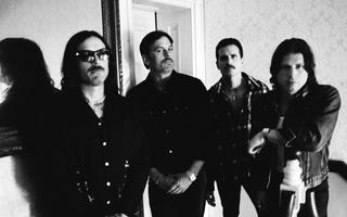 Band members of Kings of Leon