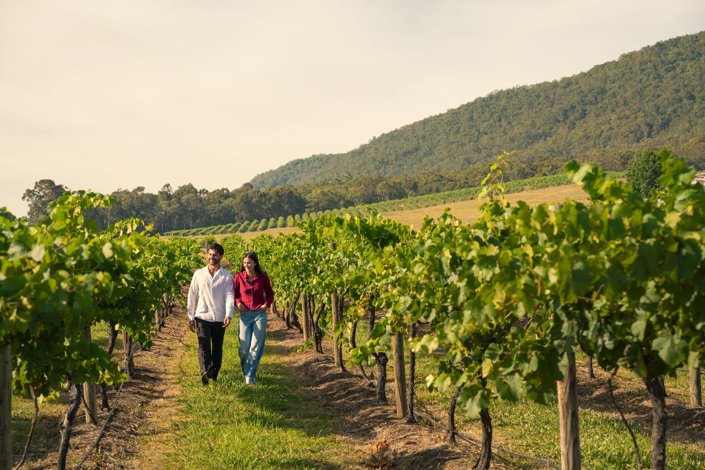 Couple walking through vineyard at Mount Pleasant Estate in Pokolbin