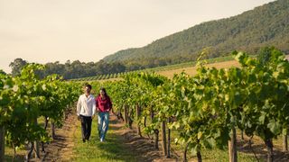 Couple walking through vineyard at Mount Pleasant Estate in Pokolbin