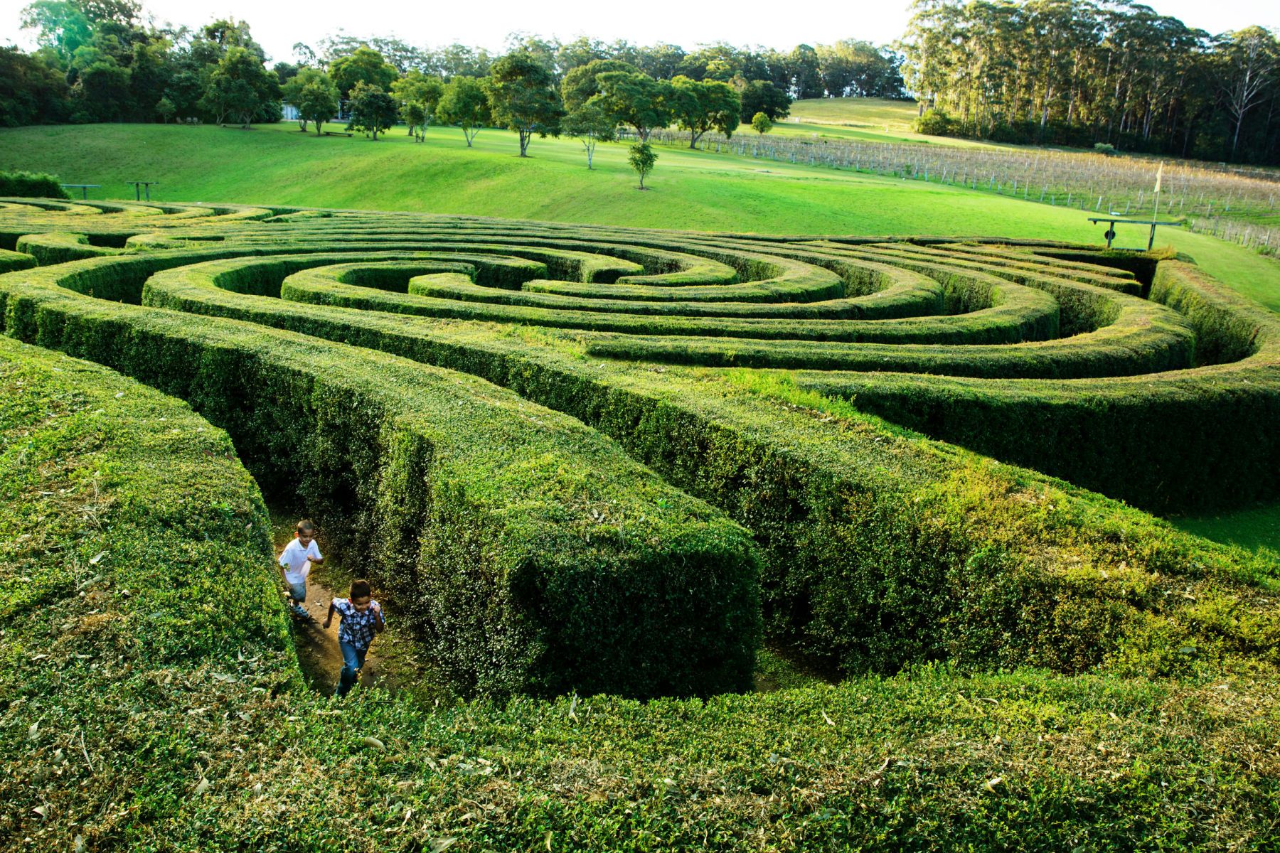 Bago Maze