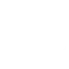 BLUE LOTUS Icon