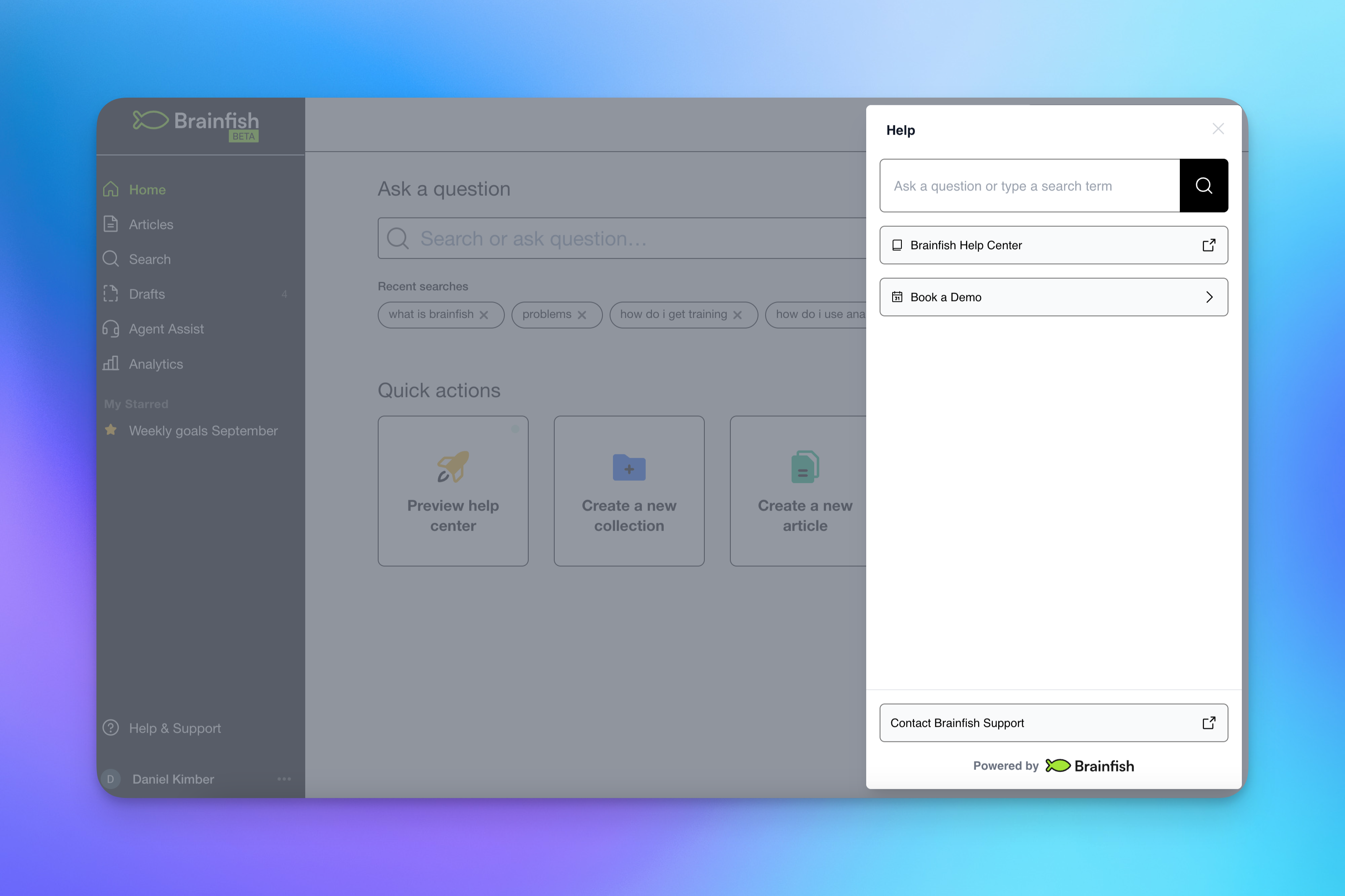 Brainfish Widget Customisation