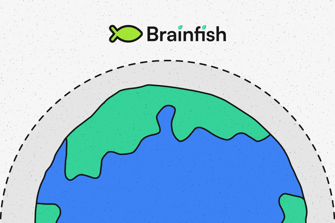 The Environmental Impact of Brainfish’s AI