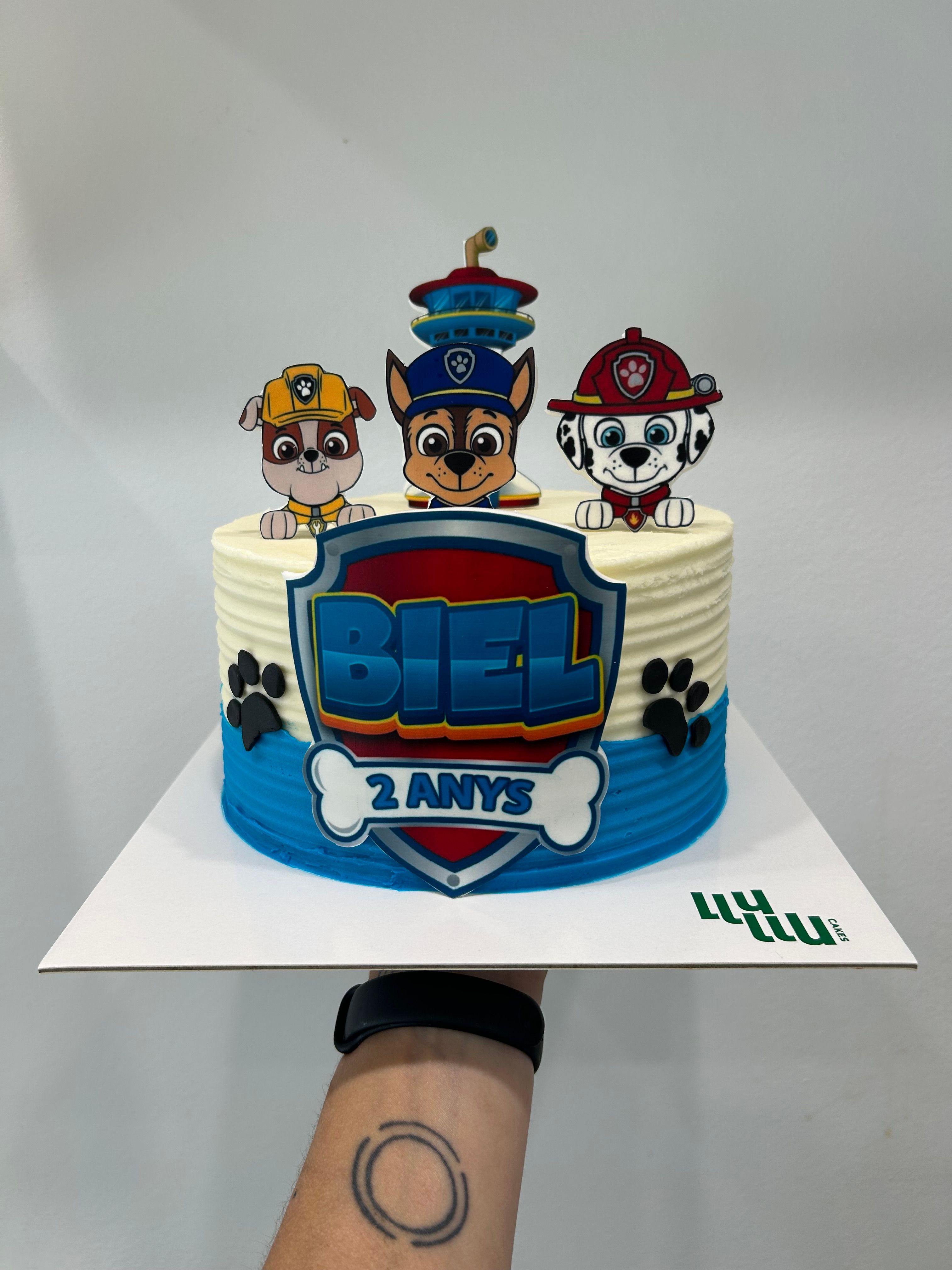 Patrulla canina pastel