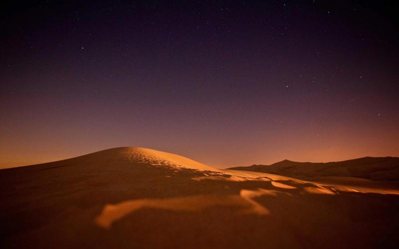 [Placeholder] Article visuel — seed