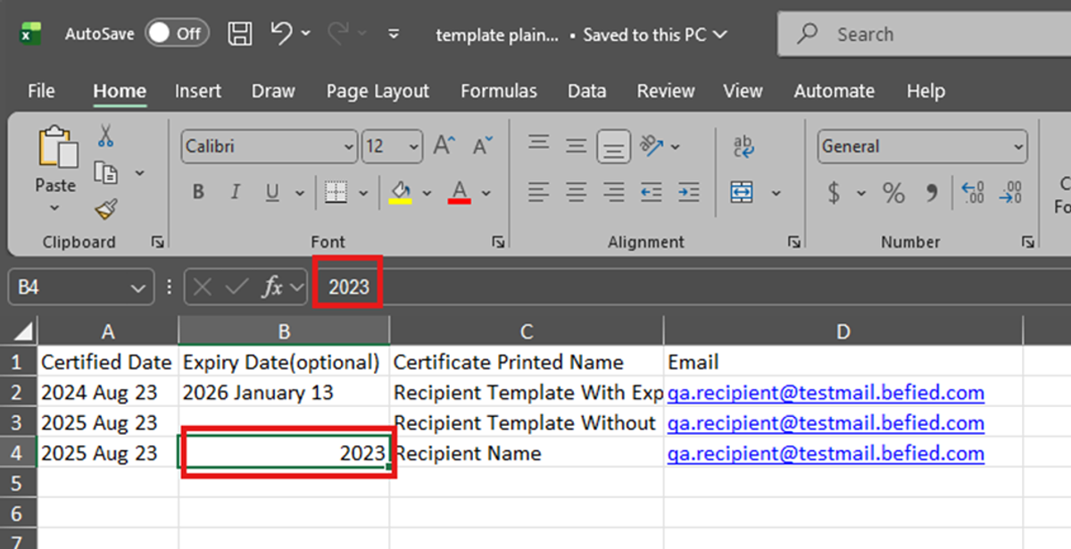 Image of Excel file with the Cell "2023" inside and the Excel Input with the same "2023" shown highlighted in a red box