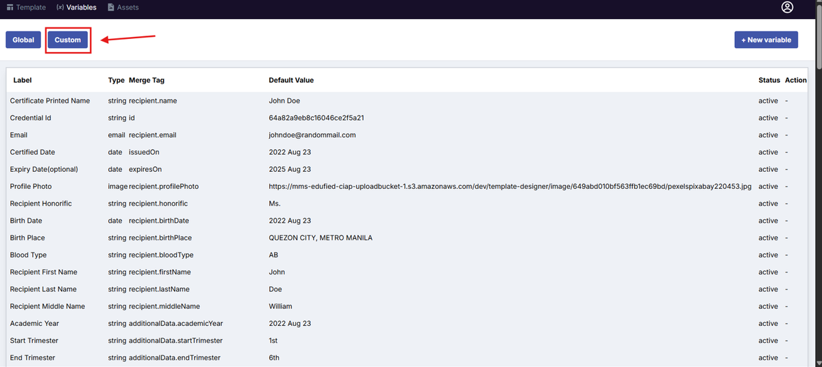 Image of the Variable page with the Custom button highlighted in a red box