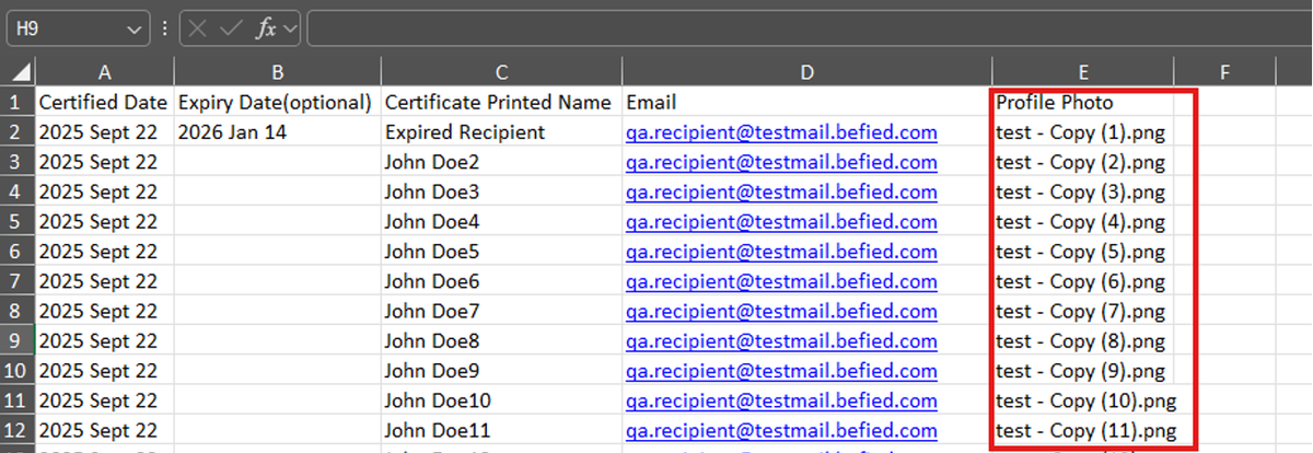 Image of an Excel file with Profile Photo column highlighted by a red box