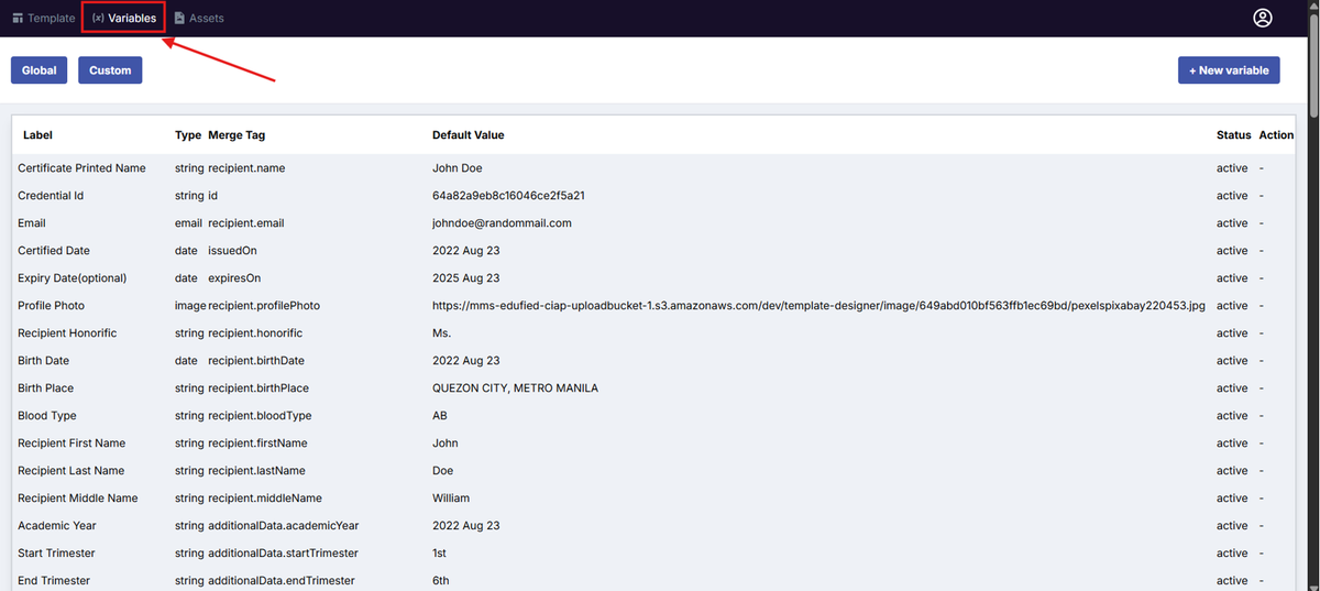 Image of Template Design Variables page