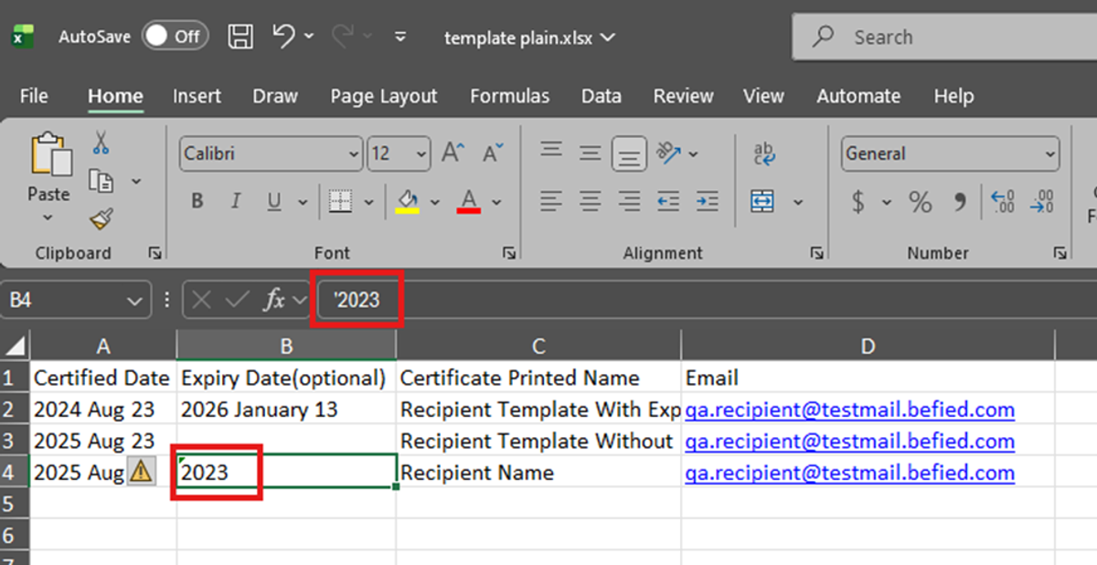 Image of an Excel file with the cell "2023" and input "'2023" highlighted with a red box