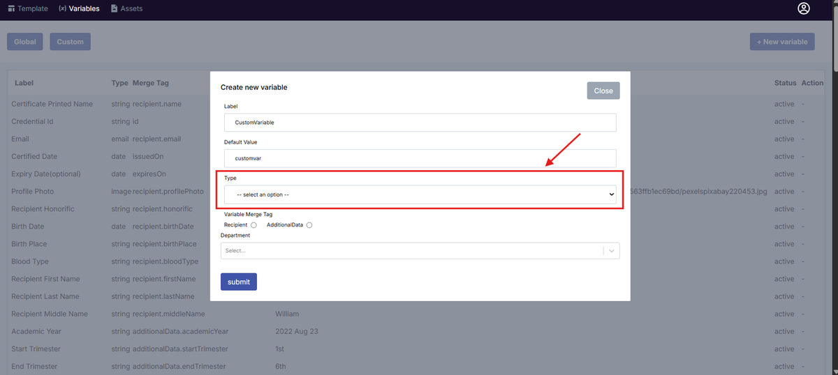 Image of the Create New Variable modal with the Type field highlighted in a red box