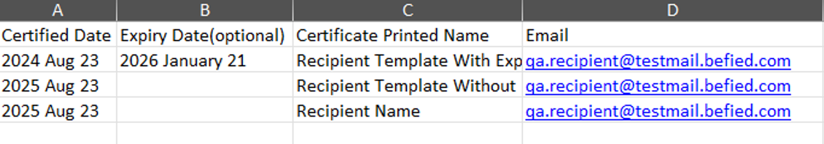 Image of an Excel file with filled up sample content