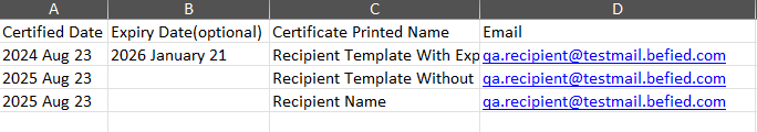 Image of an Excel file with filled up sample content