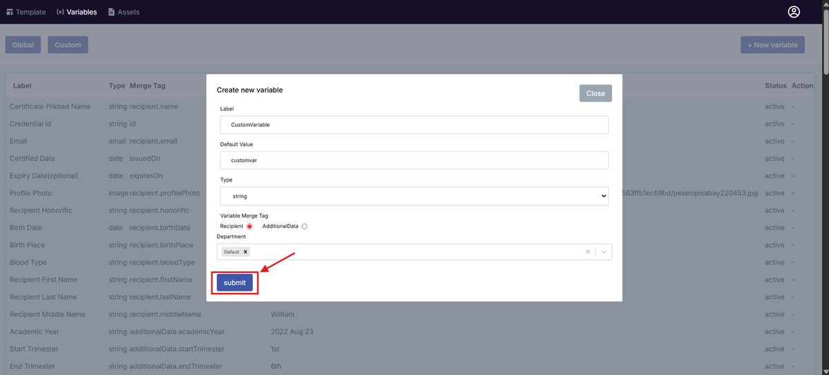 Image of the Create New Variable modal with the Submit button highlighted in a red box
