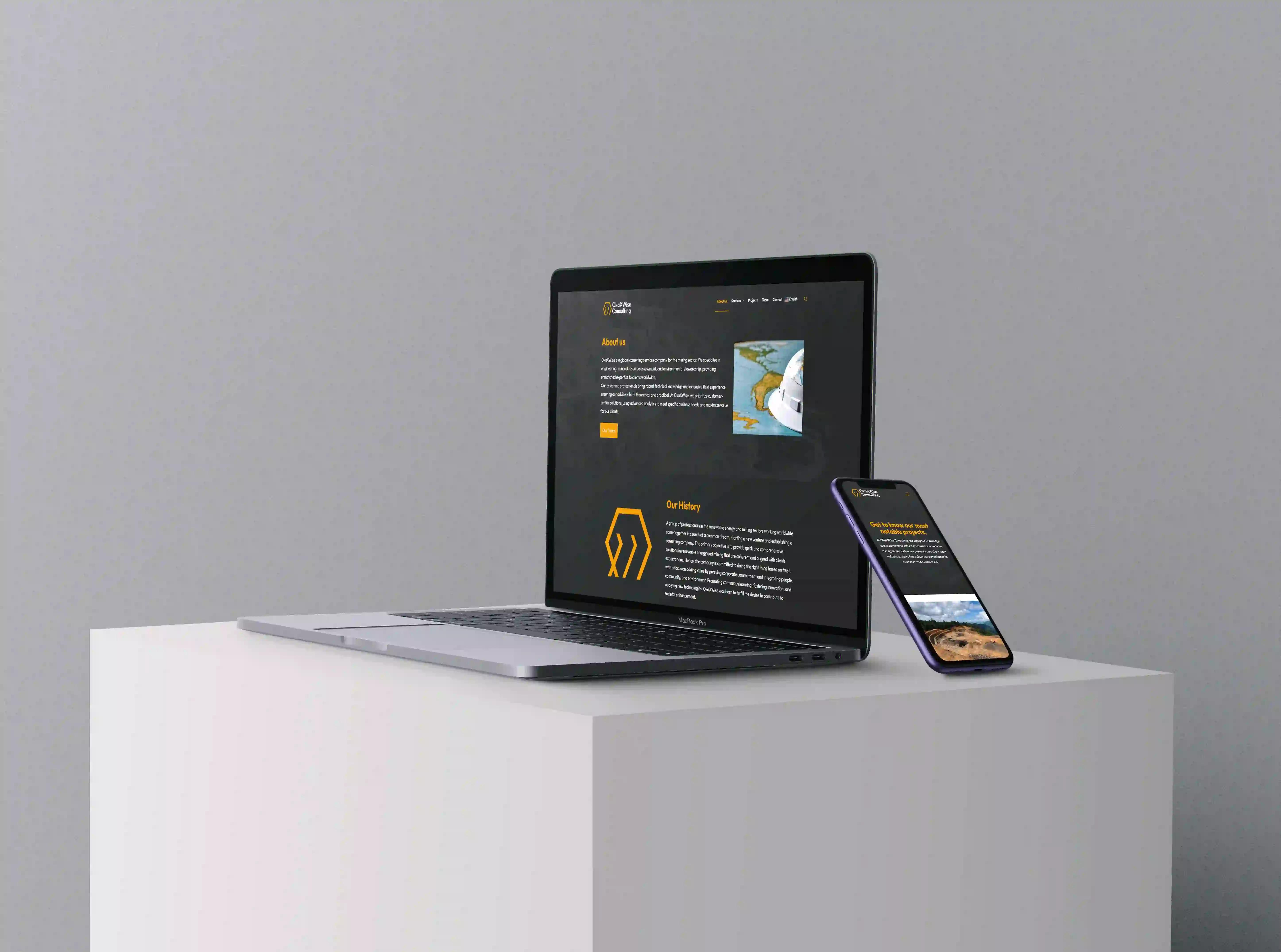 OkaXWise Consulting