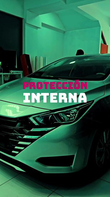 Protección Interna