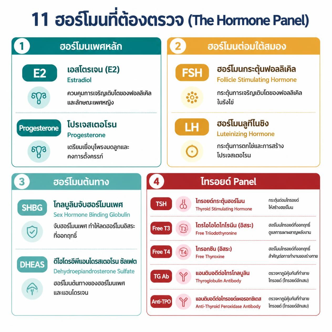 11 ฮอร์โมนที่ต้องตรวจสำหรับผู้หญิงวัย 40 จัดกลุ่มตามแหล่งกำเนิด