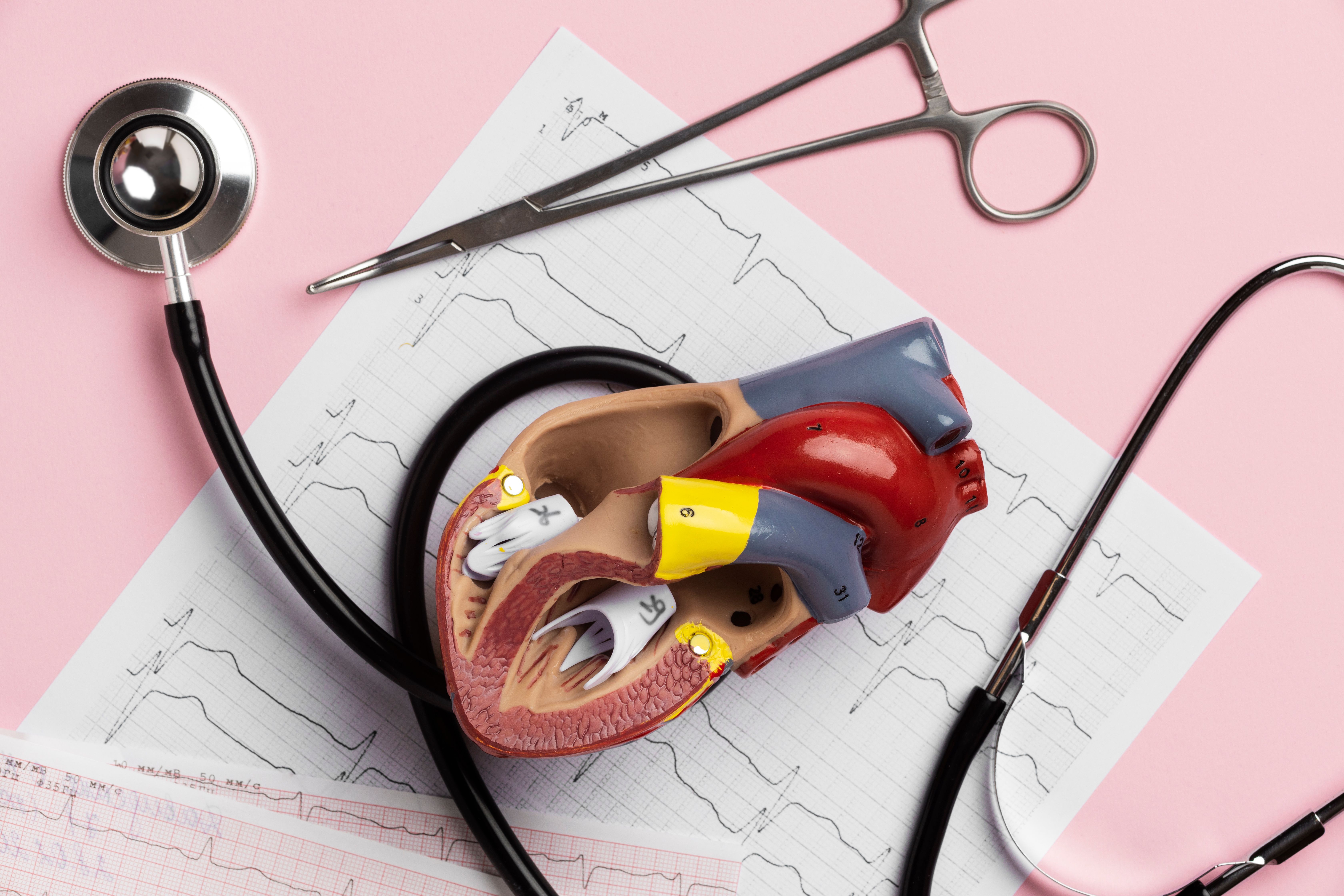 เส้นเลือดตีบ (Atherosclerosis) เกิดอะไรขึ้นในร่างกาย และทำไมถึงอันตราย