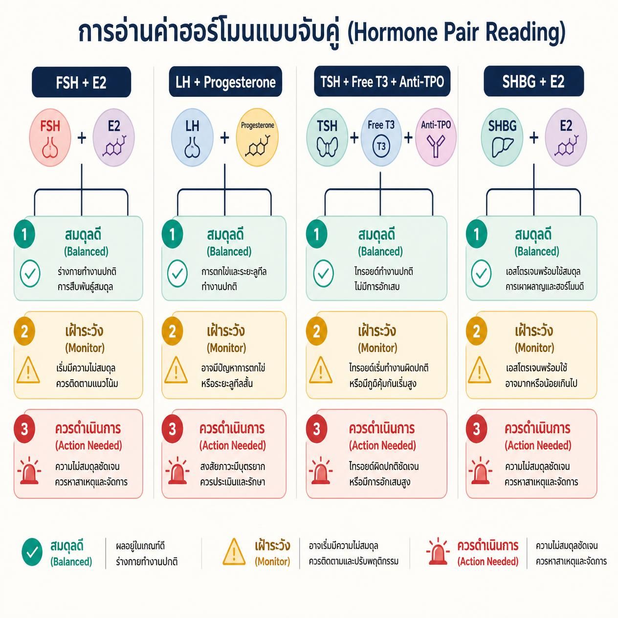 การจับคู่ฮอร์โมน: FSH+E2, LH+Progesterone, TSH+FreeT3+FreeT4, SHBG+E2 และความหมายของการรวมกัน