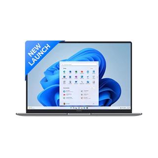Honor MagicBook X16 (2024) ‎‎BRN-F58
