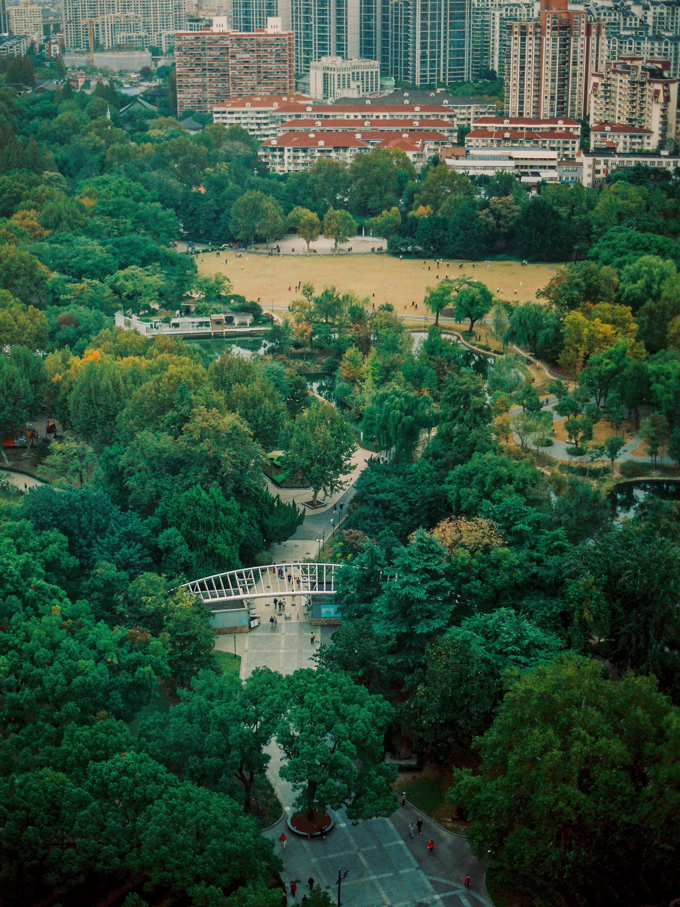 ZHONGSHAN PARK SHANGHAI, 2025. 1