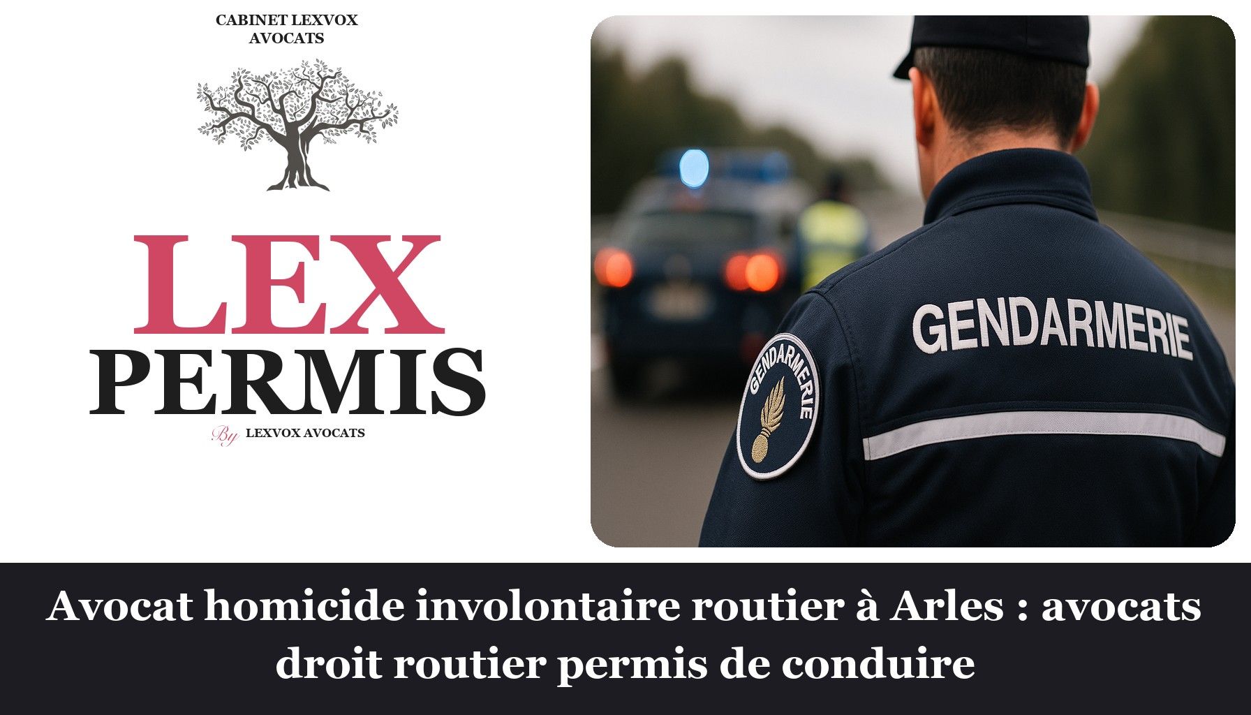 Avocat homicide involontaire routier à Arles : avocats droit routier permis de conduire