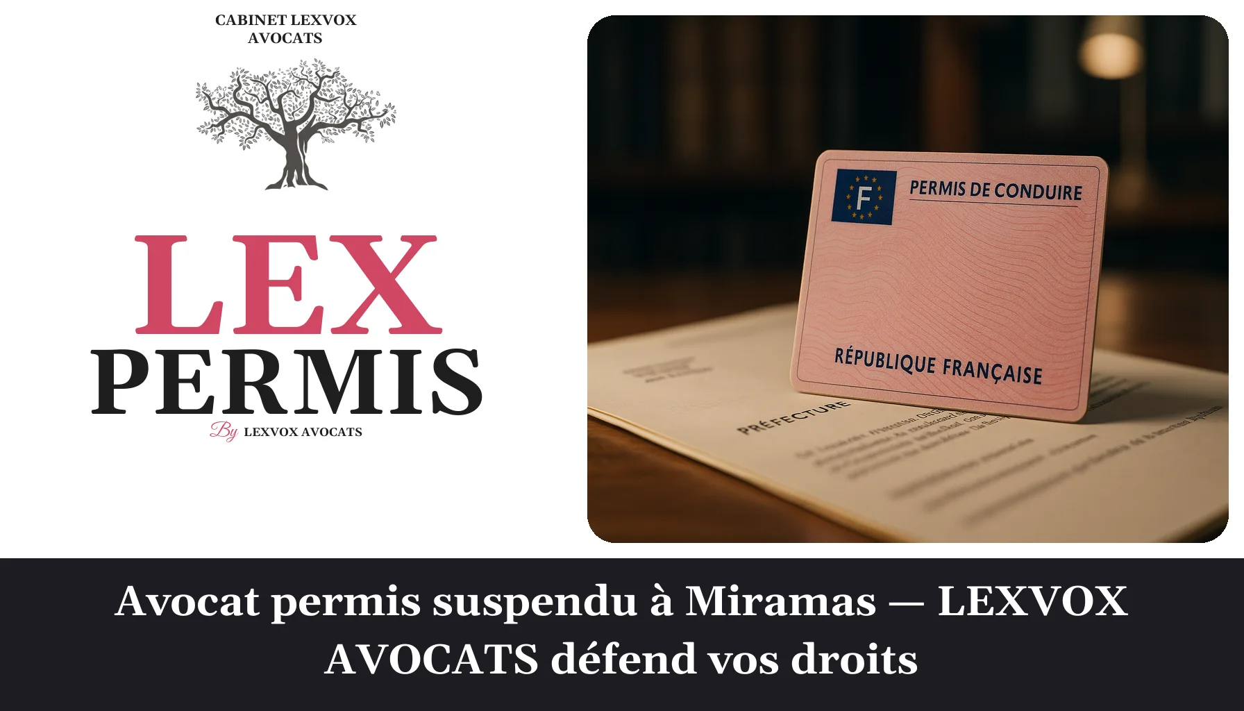 Un permis de conduire français est posé sur un document officiel, avec un fond flou et une lumière douce.