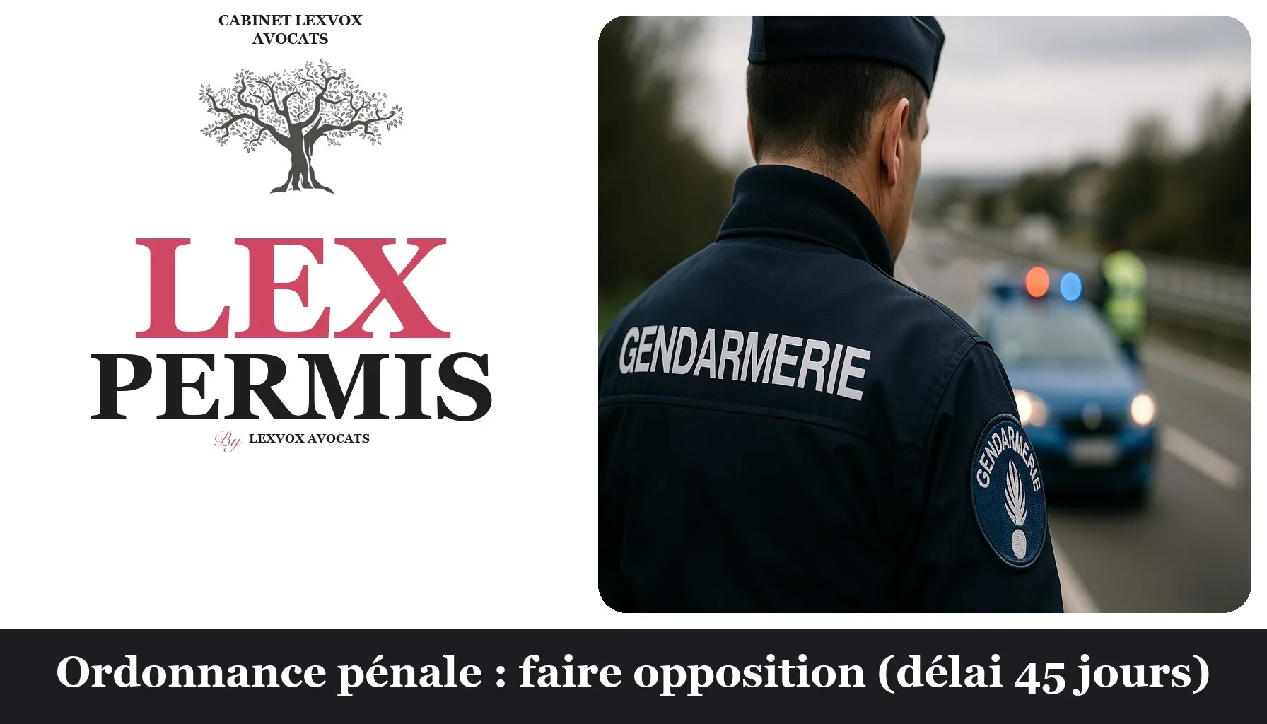 Ordonnance pénale : faire opposition (délai 45 jours)