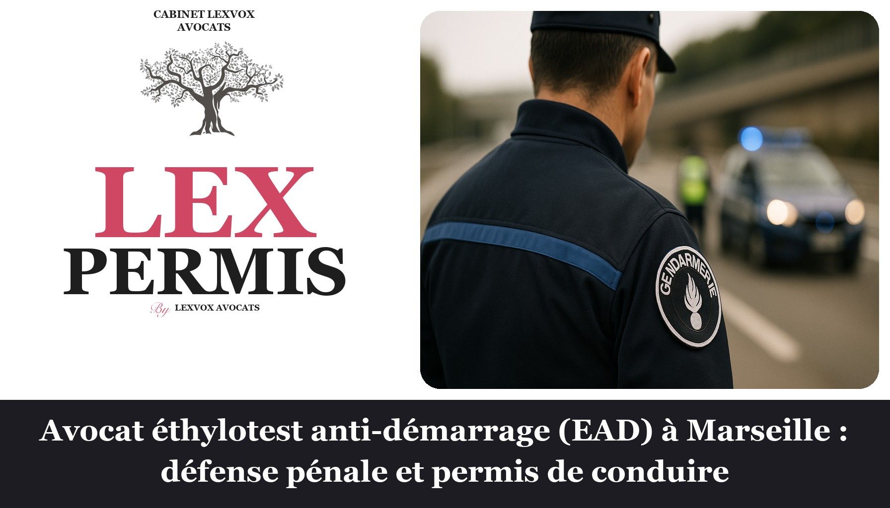 Avocat éthylotest anti-démarrage (EAD) à Marseille : défense pénale et permis de conduire