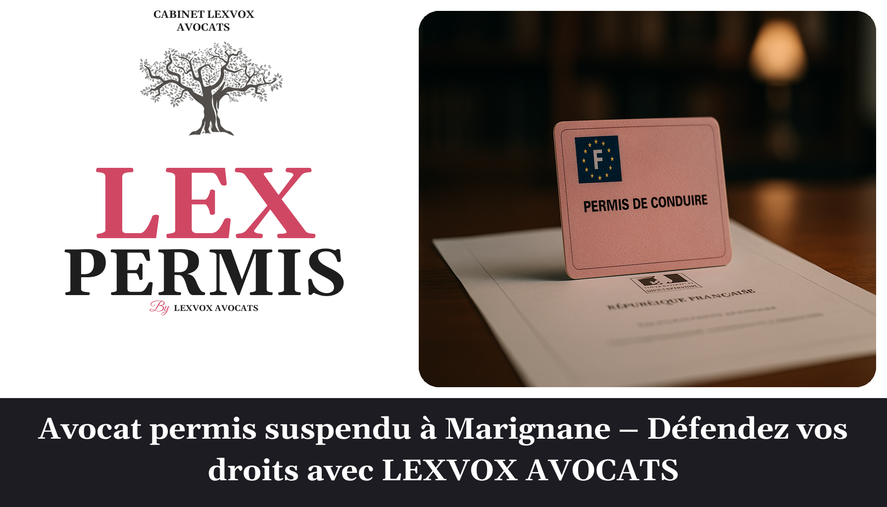 Un permis de conduire rose est posé sur un document officiel, avec un fond flou et une lumière douce.