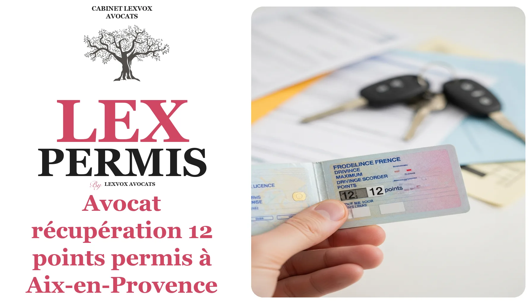 Avocat récupération 12 points permis à Aix-en-Provence : remise à zéro automatique