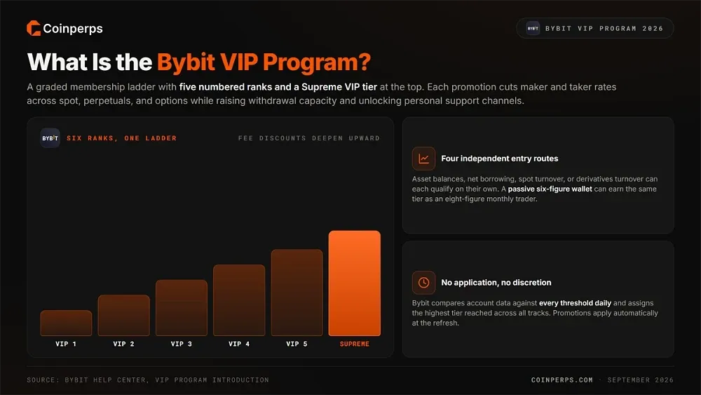 What is the Bybit VIP Program