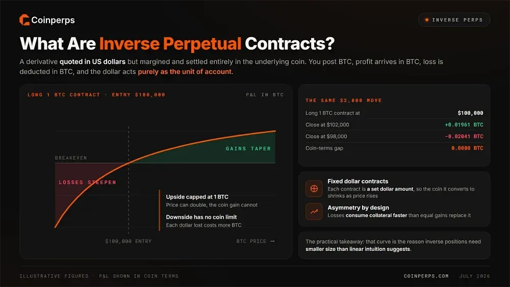 What Are Inverse Perpetual Contracts