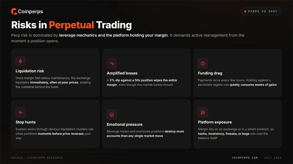 Risks in Perpetual Trading