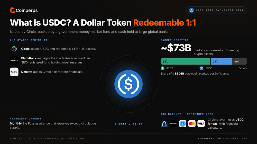 USDC overview showing Circle as issuer, BlackRock managing reserves, a roughly $73 billion market cap and a 24% share of the $306 billion stablecoin market against 60% for USDT