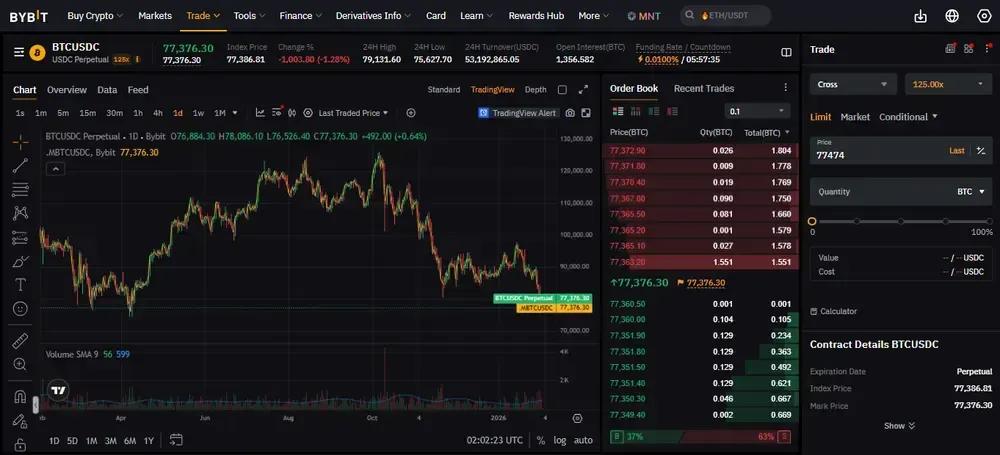 Bybit Cross Margin