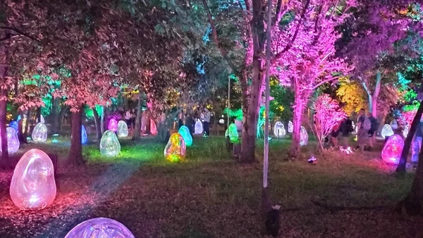 チームラボ ボタニカルガーデン 大阪(長居植物園) 大阪・長居植物園で体験する幻想の夜!チームラボボタニカルガーデン